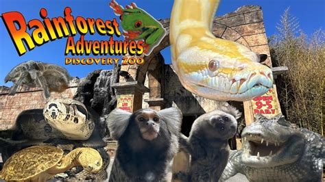 Rainforest adventure zoo - RainForest Adventures Zoo Admission. By Rainforest Adventures. 215 reviews. See all photos. About. Ages 0-99. Duration: 4h. Start time: Check availability. …